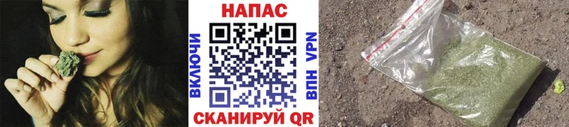 Каннабис конопля  Ковров 